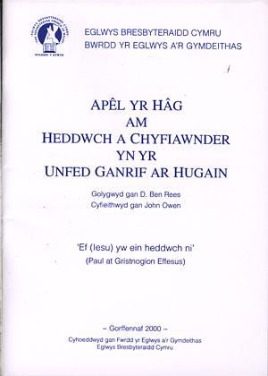 Apel yr Hâg am Heddwch a Chyfiawnder yn yr Unfed Ganrif ar Hugain - Siop Y Pentan