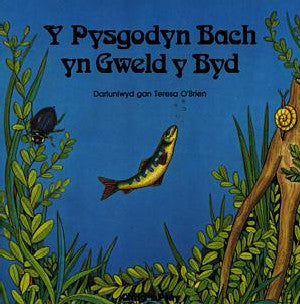 Pysgodyn Bach yn Gweld y Byd, Y - Siop Y Pentan