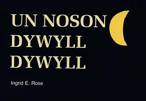 Cyfres Project Llyfrau 3D: Un Noson Dywyll Dywyll - Siop Y Pentan