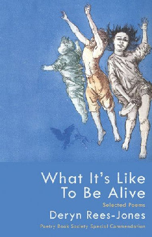 What It's like to Be Alive - Selected Poems - Siop Y Pentan