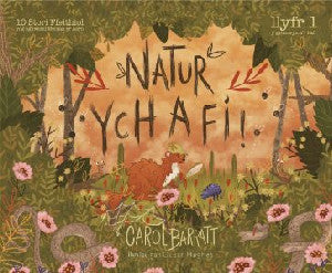 Natur Ych a Fi - Siop Y Pentan