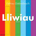 Llyfrau Llabedwych: Lliwiau/Colours - Siop Y Pentan