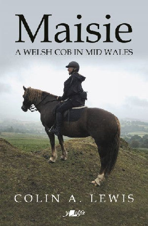 Maisie - A Welsh Cob in Mid Wales - Siop Y Pentan