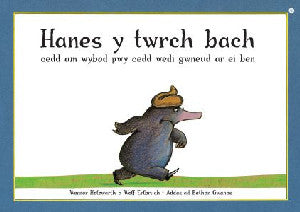 Hanes y Twrch Bach oedd am Wybod Pwy oedd Wedi Gwneud ar ei Ben - Siop Y Pentan