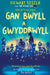 Darllen yn Well: Gan Bwyll a Gwyddbwyll - Siop Y Pentan