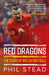 Red Dragons - The Story of Welsh Football - Siop Y Pentan