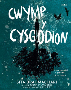 Darllen yn Well: Cwymp y Cysgodion - Siop Y Pentan