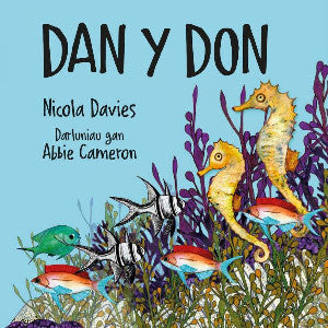 Dan y Don - Siop Y Pentan