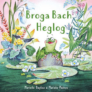 Broga Bach Heglog - Siop Y Pentan