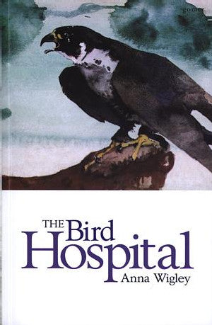 Bird Hospital, The - Siop Y Pentan