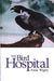 Bird Hospital, The - Siop Y Pentan