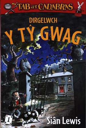 Cyfres Tab a'r Cadabras: 1. Dirgelwch y T? Gwag - Siop Y Pentan