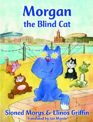 Morgan the Blind Cat - Siop Y Pentan