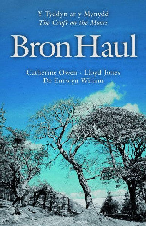 Bron Haul - Y Tyddyn ar y Mynydd/The Croft on the Moors - Siop Y Pentan