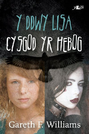 Cyfres y Dderwen: Y Ddwy Lisa - Cysgod yr Hebog - Siop Y Pentan