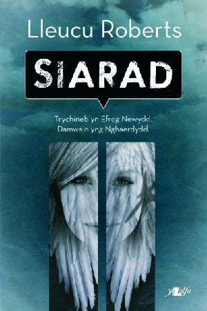 Cyfres y Dderwen: Siarad - Siop Y Pentan