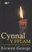 Cynnal y Fflam - Golwg ar Weithgareddau Annibynwyr Cymraeg Sir Be - Siop Y Pentan