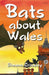 Bats About Wales - Siop Y Pentan