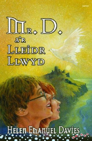 Cyfres Swigod: Mr D a'r Lleidr Llwyd - Siop Y Pentan