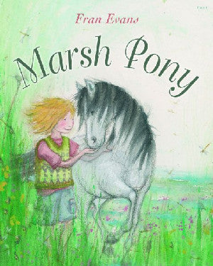 Marsh Pony - Siop Y Pentan