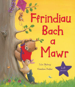 Ffrindiau Bach a Mawr - Siop Y Pentan