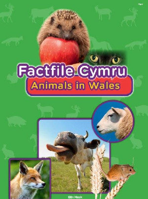 Factfile Cymru: Animals in Wales - Siop Y Pentan