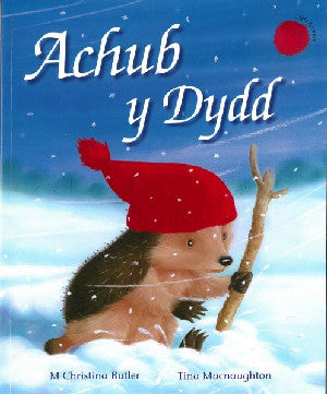 Cyfres Draenog Bach: Achub y Dydd - Siop Y Pentan