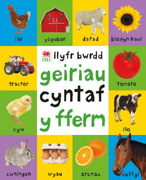 Geiriau Cyntaf Fferm - Siop Y Pentan