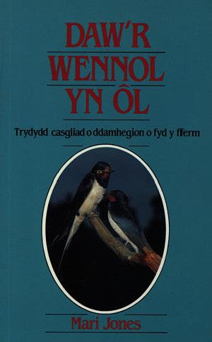 Daw'r Wennol yn ÔL - Siop Y Pentan