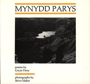 Mynydd Parys - Siop Y Pentan