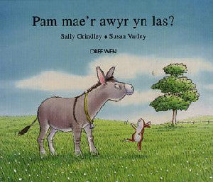 Pam Mae'r Awyr yn Las? - Siop Y Pentan