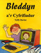 Bleddyn a'r Cyfrifiadur - Siop Y Pentan