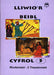 Lliwio'r Beibl: Cyfrol 5. Rhufeiniaid - 2 Thesaloniaid - Siop Y Pentan