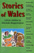 Stories of Wales - Siop Y Pentan