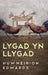Lygad yn Llygad - Siop Y Pentan