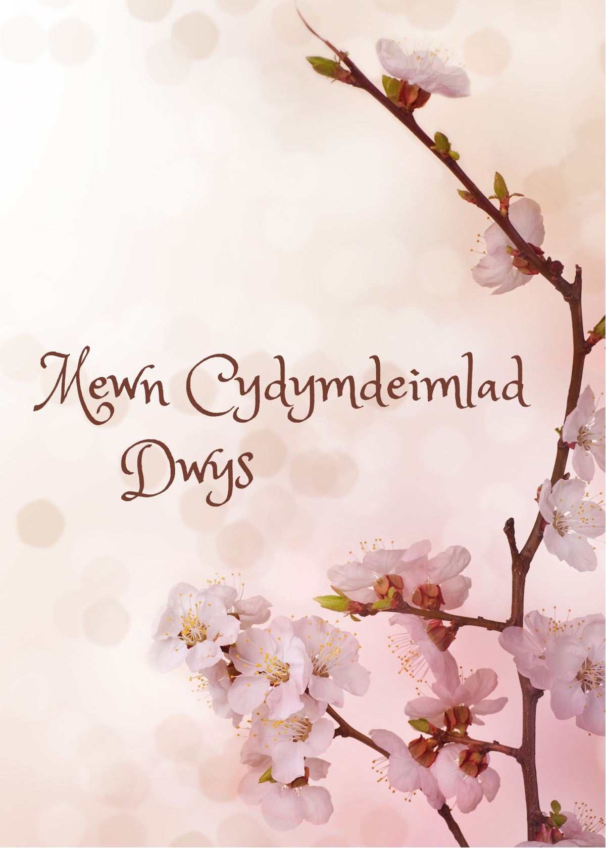 Mewn Cydymdeimlad Dwys | Cardiau.Cymru - Siop Y Pentan