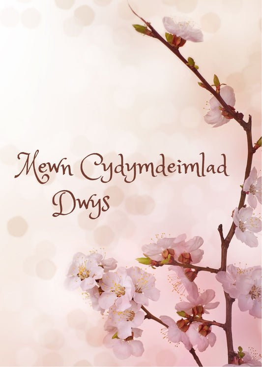 Mewn Cydymdeimlad Dwys | Cardiau.Cymru - Siop Y Pentan
