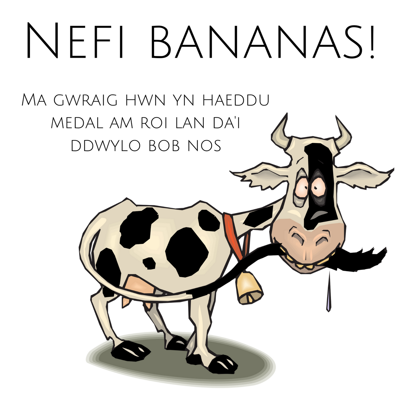 Cardiau Doniol Cymraeg