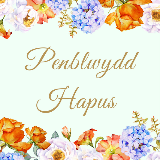 Penblwydd Hapus | Cardiau Myrddin - Siop Y Pentan