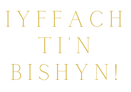 YIFFACH...TI'N BISHYN | Cardiau.Cymru - Siop Y Pentan