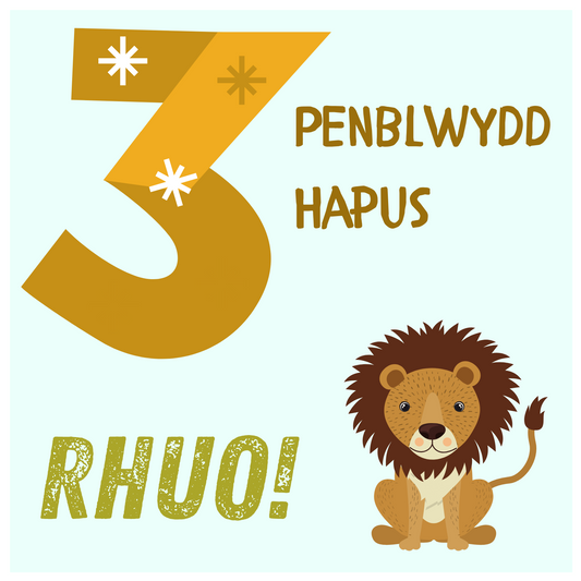 Penblwydd Hapus 3 | Cardiau.Cymru - Siop Y Pentan