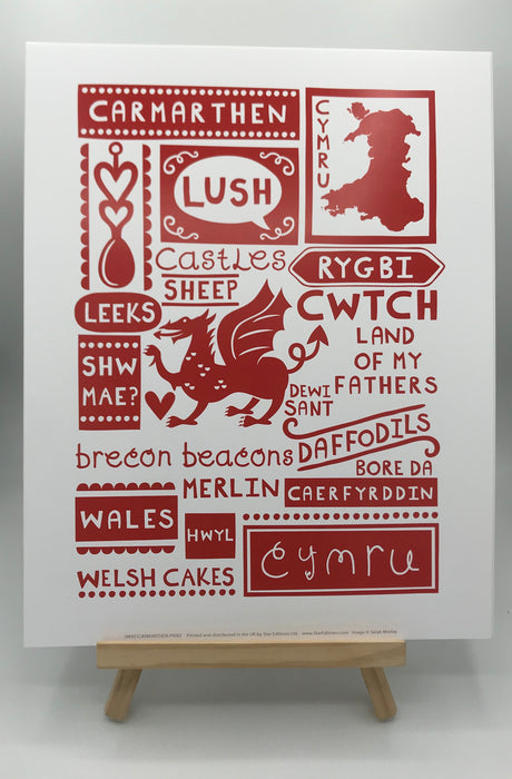 Hanes a Diwylliant Caerfyrddin | Print, Clustog a Mwy - Siop Y Pentan