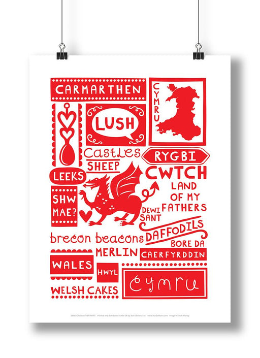 Hanes a Diwylliant Caerfyrddin | Print, Clustog a Mwy - Siop Y Pentan