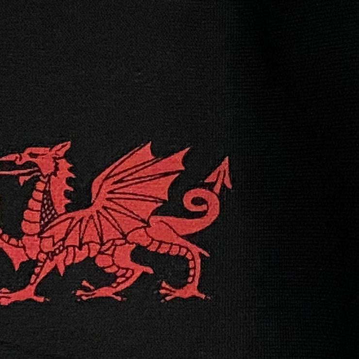 Mwgwd 5 Haen / 5 Layer Mask | Y Ddraig Goch - Siop Y Pentan
